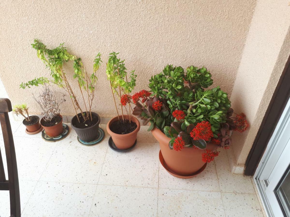 The Marilouize Apartment Peyia Ngoại thất bức ảnh